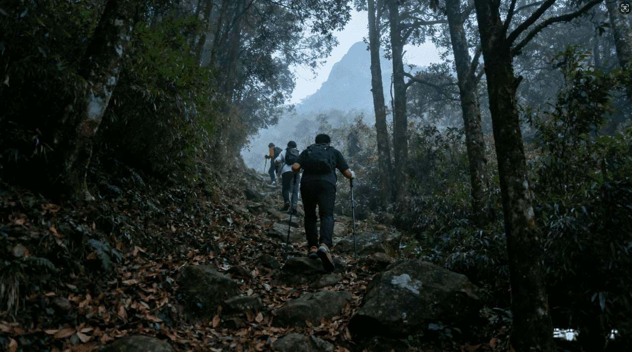 各大应用市场提供的老王加速器下载地址